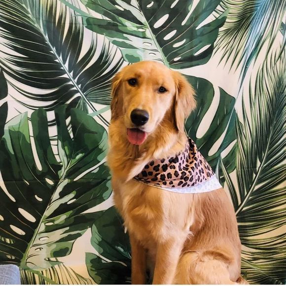 5x7ft Summer Backdrop Tropical Palm Leaves Background Photography Decora… - Picture 4 of 6